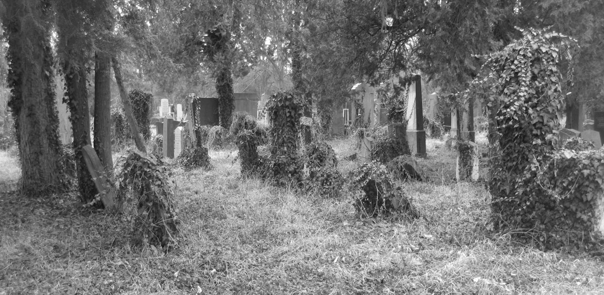 Vienna Central Cemetery