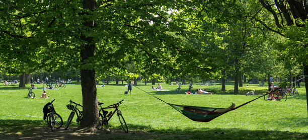 Prater in Vienna